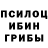 Галлюциногенные грибы мицелий iofstorm