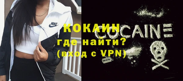 гашик Липки