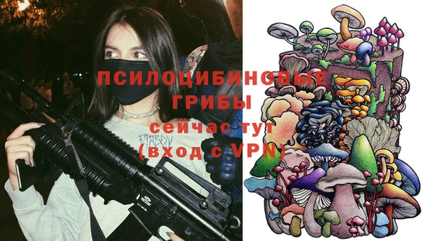 гашик Липки