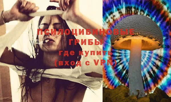 гашик Липки